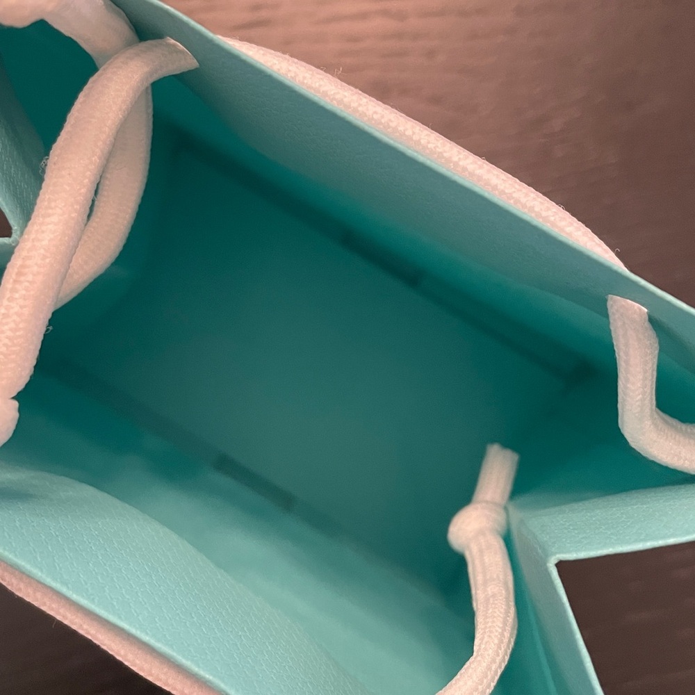 Empty Tiffany & Co gift bags & pouches jewelry set of 2 - Picture 4 of 5